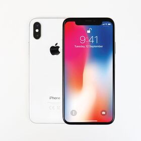 Apple iPhone X 256GB, Renewed Smartphone Silver | DSS Offers